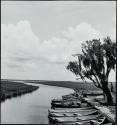Rabbit Bayou, Houma, Louisiana
