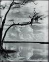 Weeks Bayou, Weeks Island, Louisiana