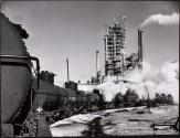 Tank cars at cleaning rack, Humble Oil and Refining Co., Baytown, Texas