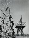 Oil well above flood crest, Gallatin County, Illinois