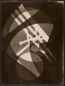 Fotogramm (Photogram)