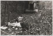 The half naked body of this victim was found in a clearing of the woods
