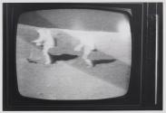 [TV showing Apollo 16 broadcast]