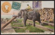 Elephants working timber, Rangoon