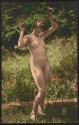 [Nude woman under tree branch]