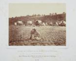 Camp of Surveying Party at Russel's Tank, Arizona