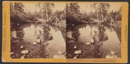 Coldstream, western Summith of Sierra.