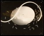 Photogram