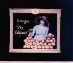 (Organ Novelty) Oranges, My California