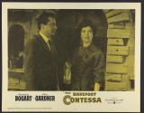 The Barefoot Contessa