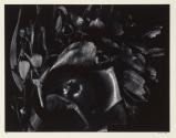 Untitled 34