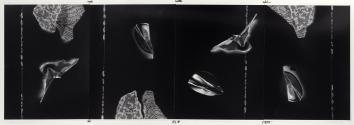 Untitled 11, 9, 12, 6