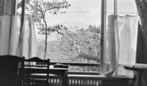 View of garden out window, Japan Trip