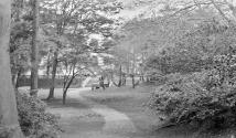 Path in garden, Japan Trip