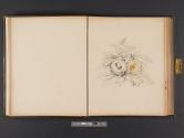 [Man and woman inside design of walnuts and leaves]