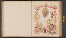 [Children intertwined with seashell design]