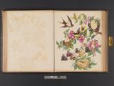 [Children with birds, butterflies, and flowers]