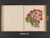 [Children framed by leaves and flowers]
