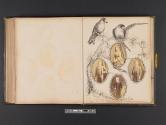 [Children with drawing of two birds on a branch]