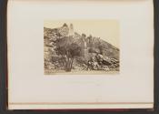 Doum Palm, and Ruined Mosque, Philae