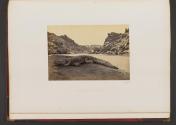 Crocodile on a Sand Bank