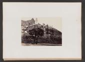 Doum Palm, and Ruined Mosque Near Philae