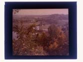 [View of creek]