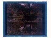 [View of creek]