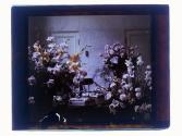 [Floral arrangements]