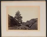Thousand Mile Tree, Wilhelmina's Pass