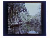 [Dock and boat on Tomoka River, Florida]