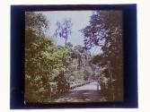 [Wooden board walk through woods near Tomoka River, Florida.]