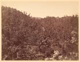 [Views of China, Japan, Hong Kong]