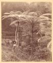 [Views of China, Japan, Hong Kong]
