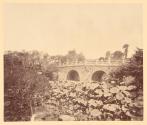[Views of China, Japan, Hong Kong]