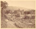 [Views of China, Japan, Hong Kong]