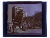 Savannah