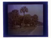 Ridgeway Ave. Daytona