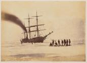 Hunting by Steam in Melville Bay