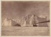 Between the Iceberg and Field Ice