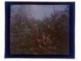 [Landscape]