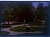 [Park]