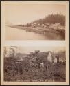 [View of Fort Wrangell, Alaska from the water] \ Wolf and Whale Totem, Fort Wrangle
