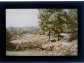 [Park]