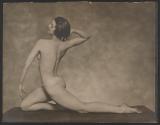 [Female nude]