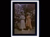 [Women in front of blooming trees]