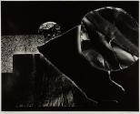 Untitled 253