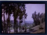 [Landscape with house in distence]