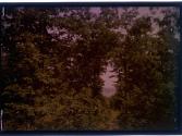 [Landscape with water in distence]