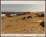 Scene of Crime, Maui